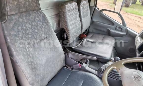 Tenga Tsaru Toyota Dyna Chena Rori in Beitbridge in Matabeleland South Tenga Tsaru Toyota Dyna Chena Rori in Beitbridge in Matabeleland South