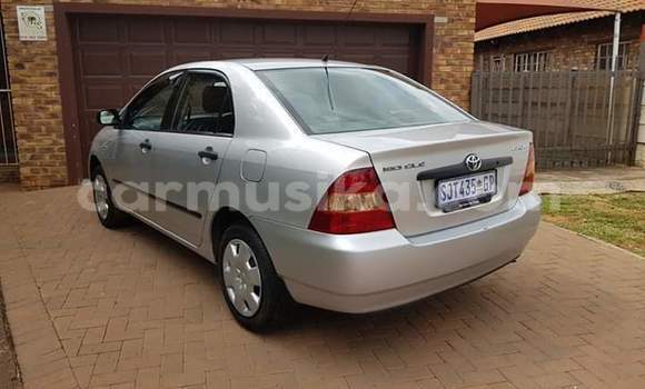 Tenga Tsaru Toyota Corolla Sirivha Mota in Beitbridge in Matabeleland South Tenga Tsaru Toyota Corolla Sirivha Mota in Beitbridge in Matabeleland South