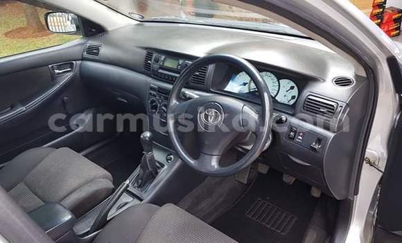 Tenga Tsaru Toyota Corolla Sirivha Mota in Beitbridge in Matabeleland South Tenga Tsaru Toyota Corolla Sirivha Mota in Beitbridge in Matabeleland South