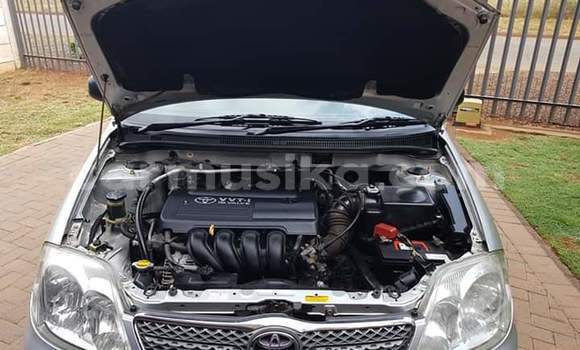 Tenga Tsaru Toyota Corolla Sirivha Mota in Beitbridge in Matabeleland South Tenga Tsaru Toyota Corolla Sirivha Mota in Beitbridge in Matabeleland South