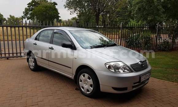 Tenga Tsaru Toyota Corolla Sirivha Mota in Beitbridge in Matabeleland South Tenga Tsaru Toyota Corolla Sirivha Mota in Beitbridge in Matabeleland South