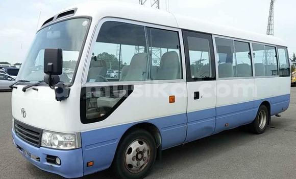 Acheter Occasion Voiture Toyota Coaster Blanc à Beitbridge, Matabeleland South Acheter Occasion Voiture Toyota Coaster Blanc à Beitbridge, Matabeleland South