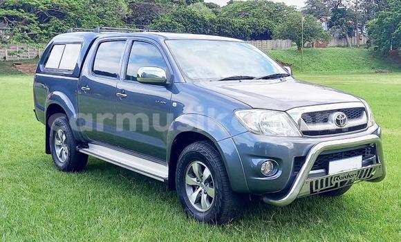 Buy Used Toyota Hilux Beige Car in Beitbridge in Matabeleland South Buy Used Toyota Hilux Beige Car in Beitbridge in Matabeleland South
