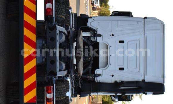 Acheter Occasion Utilitaire Mercedes‒Benz 2644 Blanc à Beitbridge, Matabeleland South Acheter Occasion Utilitaire Mercedes‒Benz 2644 Blanc à Beitbridge, Matabeleland South