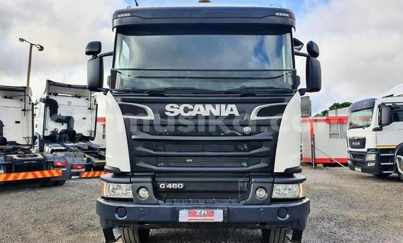 Nunua Ilio tumika Scania R420 Nyeupe Lori ndani ya Beitbridge nchini Matabeleland Kusini Nunua Ilio tumika Scania R420 Nyeupe Lori ndani ya Beitbridge nchini Matabeleland Kusini