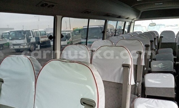 Tenga Tsaru Toyota Coaster Bhuruu Mota in Beitbridge in Matabeleland South Tenga Tsaru Toyota Coaster Bhuruu Mota in Beitbridge in Matabeleland South