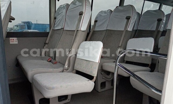 Tenga Tsaru Toyota Coaster Bhuruu Mota in Beitbridge in Matabeleland South Tenga Tsaru Toyota Coaster Bhuruu Mota in Beitbridge in Matabeleland South