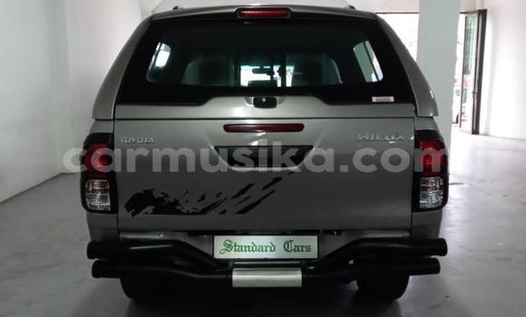 Acheter Occasion Voiture Toyota Hilux Gris à Beitbridge, Matabeleland South Acheter Occasion Voiture Toyota Hilux Gris à Beitbridge, Matabeleland South