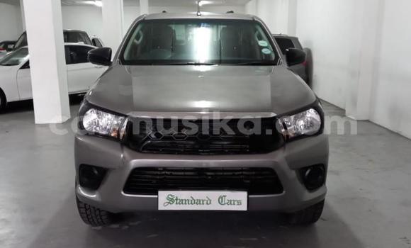 Acheter Occasion Voiture Toyota Hilux Gris à Beitbridge, Matabeleland South Acheter Occasion Voiture Toyota Hilux Gris à Beitbridge, Matabeleland South