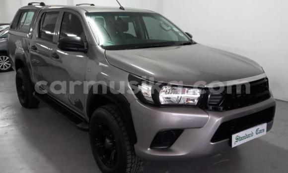 Acheter Occasion Voiture Toyota Hilux Gris à Beitbridge, Matabeleland South Acheter Occasion Voiture Toyota Hilux Gris à Beitbridge, Matabeleland South