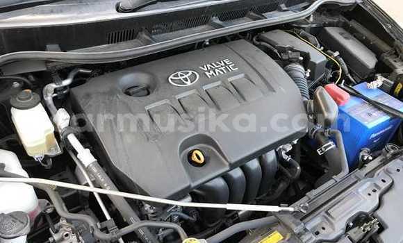 Tenga Tsaru Toyota Wish Nhema Mota in Beitbridge in Matabeleland South Tenga Tsaru Toyota Wish Nhema Mota in Beitbridge in Matabeleland South