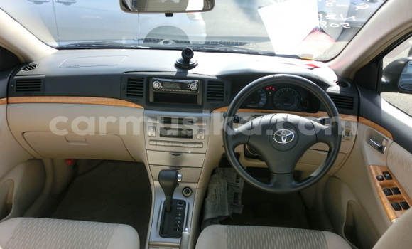 Acheter Occasion Voiture Toyota Runx Noir à Beitbridge, Matabeleland South Acheter Occasion Voiture Toyota Runx Noir à Beitbridge, Matabeleland South