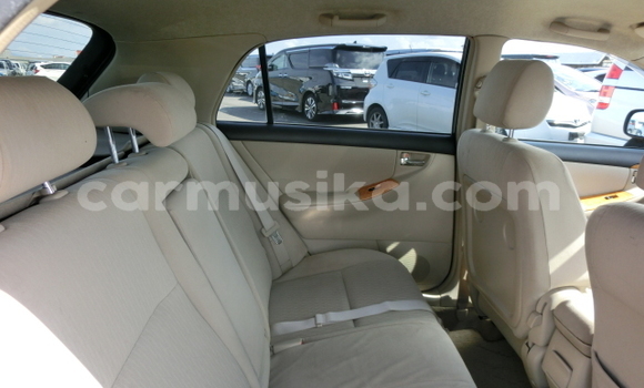 Acheter Occasion Voiture Toyota Runx Noir à Beitbridge, Matabeleland South Acheter Occasion Voiture Toyota Runx Noir à Beitbridge, Matabeleland South