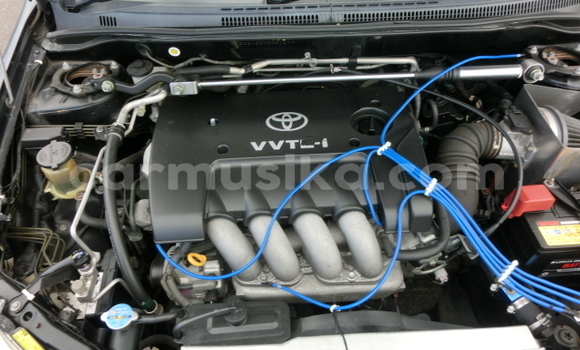 Acheter Occasion Voiture Toyota Runx Noir à Beitbridge, Matabeleland South Acheter Occasion Voiture Toyota Runx Noir à Beitbridge, Matabeleland South