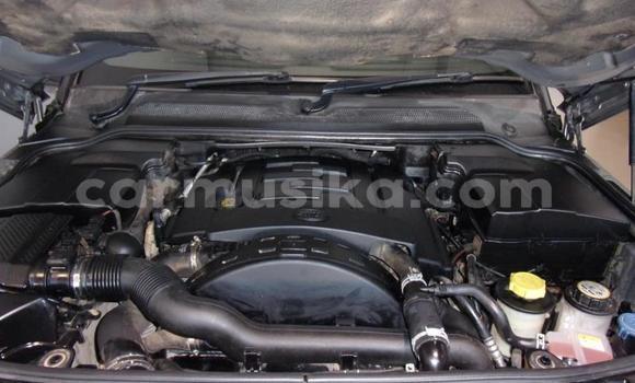 Tenga Tsaru Range Rover Range Rover Zvimwe Mota in Beitbridge in Matabeleland South Tenga Tsaru Range Rover Range Rover Zvimwe Mota in Beitbridge in Matabeleland South