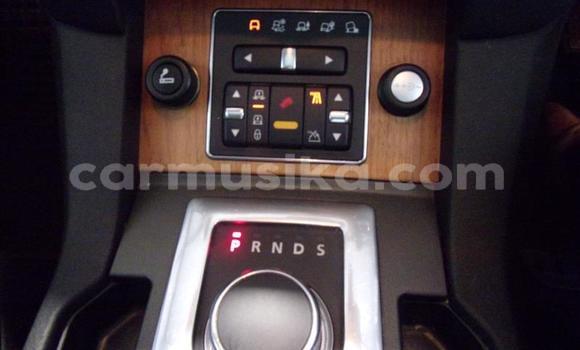 Tenga Tsaru Range Rover Range Rover Zvimwe Mota in Beitbridge in Matabeleland South Tenga Tsaru Range Rover Range Rover Zvimwe Mota in Beitbridge in Matabeleland South