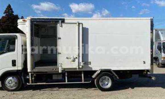 Tenga Tsaru Isuzu Elf Chena Rori in Beitbridge in Matabeleland South Tenga Tsaru Isuzu Elf Chena Rori in Beitbridge in Matabeleland South