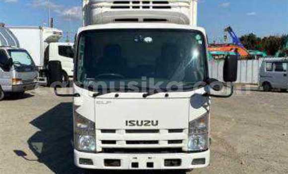 Tenga Tsaru Isuzu Elf Chena Rori in Beitbridge in Matabeleland South Tenga Tsaru Isuzu Elf Chena Rori in Beitbridge in Matabeleland South