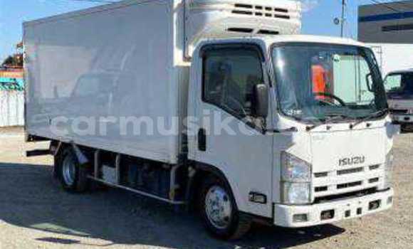 Tenga Tsaru Isuzu Elf Chena Rori in Beitbridge in Matabeleland South Tenga Tsaru Isuzu Elf Chena Rori in Beitbridge in Matabeleland South