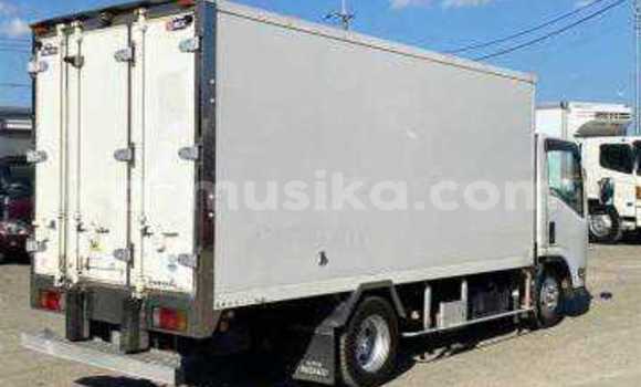 Tenga Tsaru Isuzu Elf Chena Rori in Beitbridge in Matabeleland South Tenga Tsaru Isuzu Elf Chena Rori in Beitbridge in Matabeleland South