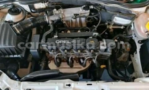 Acheter Occasion Voiture Opel Corsa OPC Blanc à Beitbridge, Matabeleland South Acheter Occasion Voiture Opel Corsa OPC Blanc à Beitbridge, Matabeleland South