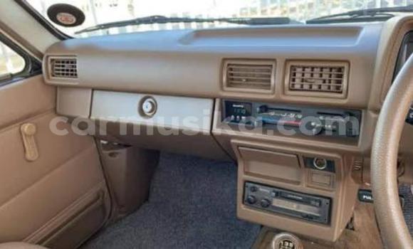 Tenga Tsaru Toyota Hilux Zvimwe Mota in Beitbridge in Matabeleland South Tenga Tsaru Toyota Hilux Zvimwe Mota in Beitbridge in Matabeleland South