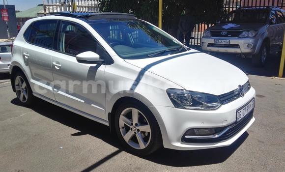Tenga Tsaru Volkswagen Polo Chena Mota in Beitbridge in Matabeleland South