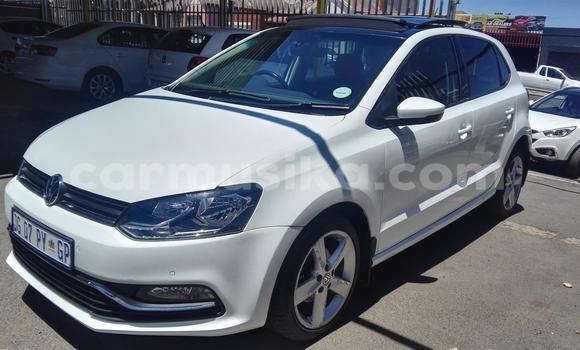 Buy Used Volkswagen Polo White Car in Beitbridge in Matabeleland South Buy Used Volkswagen Polo White Car in Beitbridge in Matabeleland South