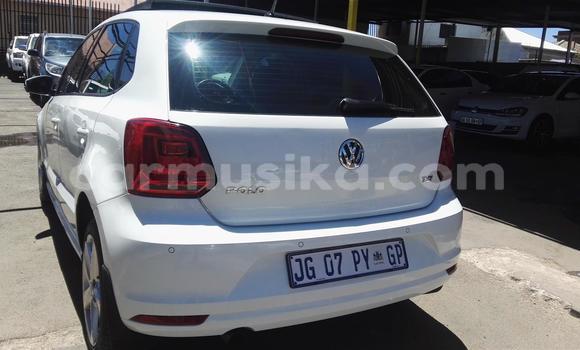 Buy Used Volkswagen Polo White Car in Beitbridge in Matabeleland South Buy Used Volkswagen Polo White Car in Beitbridge in Matabeleland South