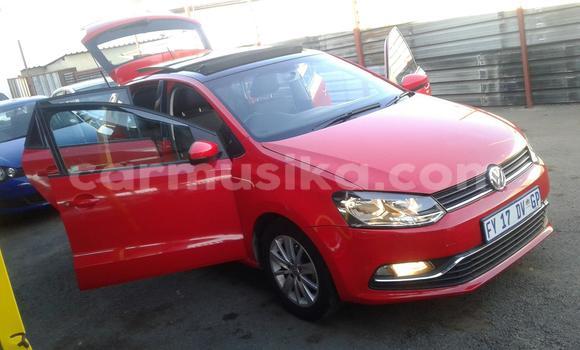 Tenga Tsaru Volkswagen Polo Tsvuku Mota in Beitbridge in Matabeleland South Tenga Tsaru Volkswagen Polo Tsvuku Mota in Beitbridge in Matabeleland South