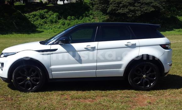 Buy Used Range Rover Range Rover White Car in Beitbridge in Matabeleland South