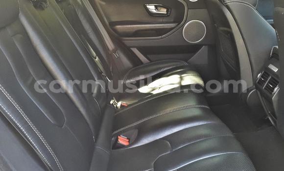 Buy Used Range Rover Range Rover Silver Car in Beitbridge in Matabeleland South Buy Used Range Rover Range Rover Silver Car in Beitbridge in Matabeleland South
