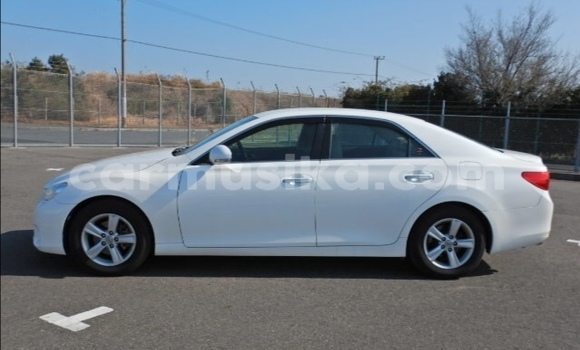 Acheter Occasion Voiture Toyota Mark X Blanc à Beitbridge, Matabeleland South Acheter Occasion Voiture Toyota Mark X Blanc à Beitbridge, Matabeleland South