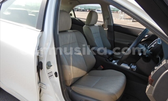 Acheter Occasion Voiture Toyota Mark X Blanc à Beitbridge, Matabeleland South Acheter Occasion Voiture Toyota Mark X Blanc à Beitbridge, Matabeleland South