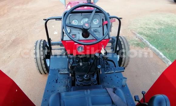 Tenga Tsaru Tatra 80 Tsvuku Mota in Beitbridge in Matabeleland South Tenga Tsaru Tatra 80 Tsvuku Mota in Beitbridge in Matabeleland South