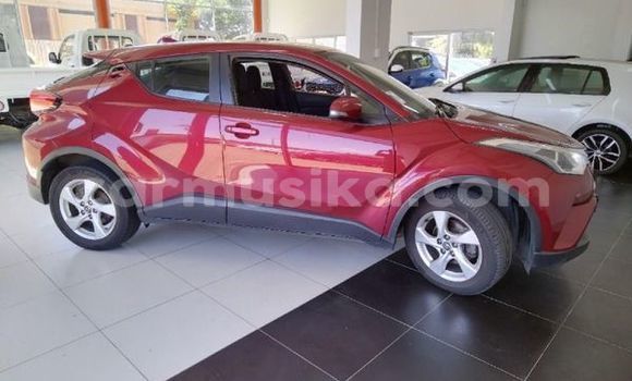 Acheter Occasion Voiture Toyota C-HR Autre à Beitbridge, Matabeleland South Acheter Occasion Voiture Toyota C-HR Autre à Beitbridge, Matabeleland South