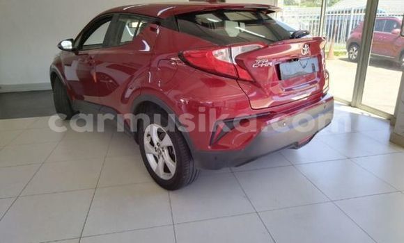 Acheter Occasion Voiture Toyota C-HR Autre à Beitbridge, Matabeleland South Acheter Occasion Voiture Toyota C-HR Autre à Beitbridge, Matabeleland South