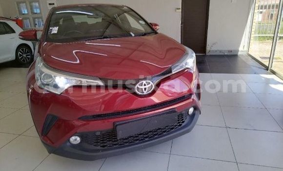 Acheter Occasion Voiture Toyota C-HR Autre à Beitbridge, Matabeleland South Acheter Occasion Voiture Toyota C-HR Autre à Beitbridge, Matabeleland South
