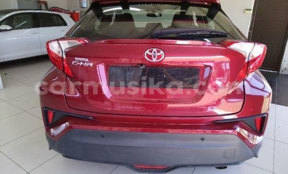 Acheter Occasion Voiture Toyota C-HR Autre à Beitbridge, Matabeleland South Acheter Occasion Voiture Toyota C-HR Autre à Beitbridge, Matabeleland South