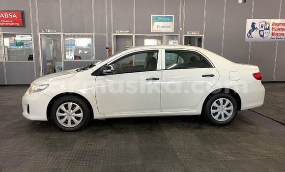 Tenga Tsaru Toyota Corolla Chena Mota in Beitbridge in Matabeleland South Tenga Tsaru Toyota Corolla Chena Mota in Beitbridge in Matabeleland South