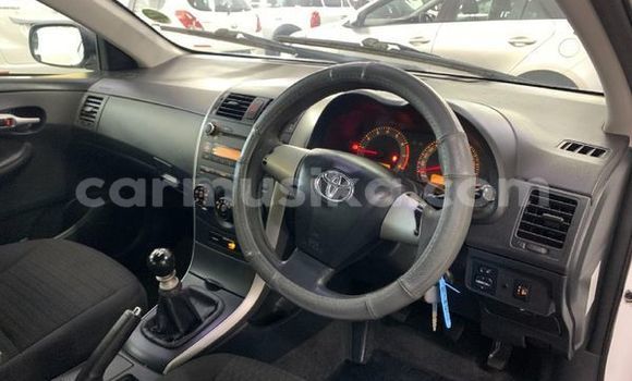 Tenga Tsaru Toyota Corolla Chena Mota in Beitbridge in Matabeleland South Tenga Tsaru Toyota Corolla Chena Mota in Beitbridge in Matabeleland South