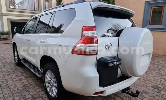 Acheter Occasion Voiture Toyota Land Cruiser Prado Blanc à Beitbridge, Matabeleland South Acheter Occasion Voiture Toyota Land Cruiser Prado Blanc à Beitbridge, Matabeleland South