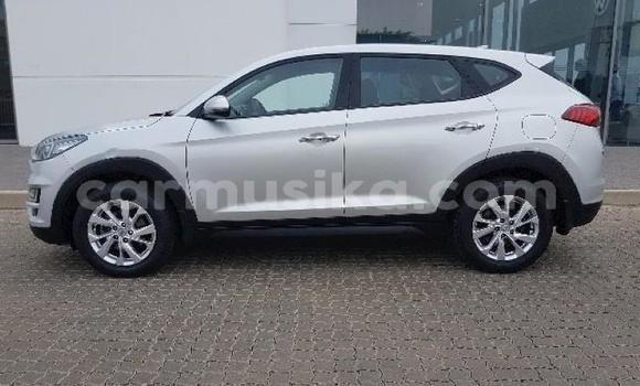 Tenga Tsaru Hyundai Tucson Sirivha Mota in Beitbridge in Matabeleland South Tenga Tsaru Hyundai Tucson Sirivha Mota in Beitbridge in Matabeleland South