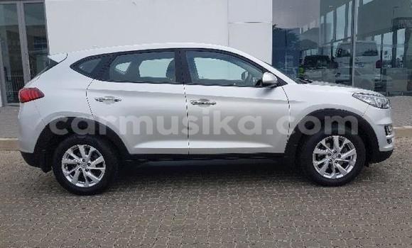 Tenga Tsaru Hyundai Tucson Sirivha Mota in Beitbridge in Matabeleland South Tenga Tsaru Hyundai Tucson Sirivha Mota in Beitbridge in Matabeleland South