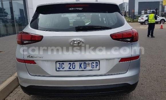 Tenga Tsaru Hyundai Tucson Sirivha Mota in Beitbridge in Matabeleland South Tenga Tsaru Hyundai Tucson Sirivha Mota in Beitbridge in Matabeleland South