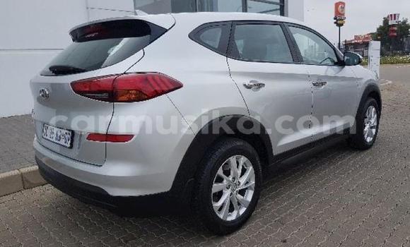 Tenga Tsaru Hyundai Tucson Sirivha Mota in Beitbridge in Matabeleland South Tenga Tsaru Hyundai Tucson Sirivha Mota in Beitbridge in Matabeleland South