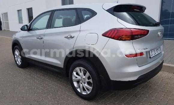 Tenga Tsaru Hyundai Tucson Sirivha Mota in Beitbridge in Matabeleland South Tenga Tsaru Hyundai Tucson Sirivha Mota in Beitbridge in Matabeleland South