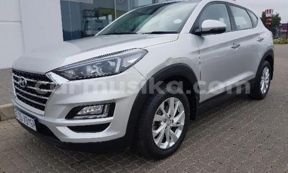 Tenga Tsaru Hyundai Tucson Sirivha Mota in Beitbridge in Matabeleland South Tenga Tsaru Hyundai Tucson Sirivha Mota in Beitbridge in Matabeleland South