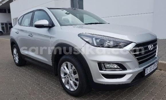 Tenga Tsaru Hyundai Tucson Sirivha Mota in Beitbridge in Matabeleland South Tenga Tsaru Hyundai Tucson Sirivha Mota in Beitbridge in Matabeleland South