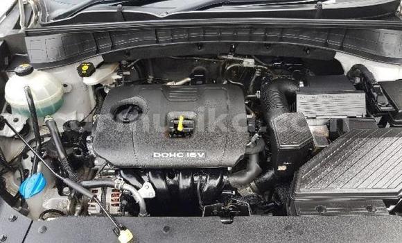 Tenga Tsaru Hyundai Tucson Sirivha Mota in Beitbridge in Matabeleland South Tenga Tsaru Hyundai Tucson Sirivha Mota in Beitbridge in Matabeleland South